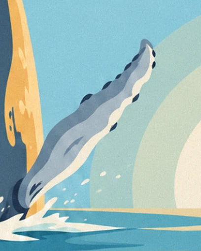 La nageoire grise de la baleine à bosse et les éclaboussures sur l’océan turquoise