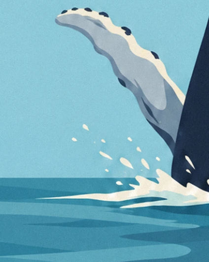 La nageoire claire de la baleine, bordée de petites bosses, au-dessus des éclaboussures