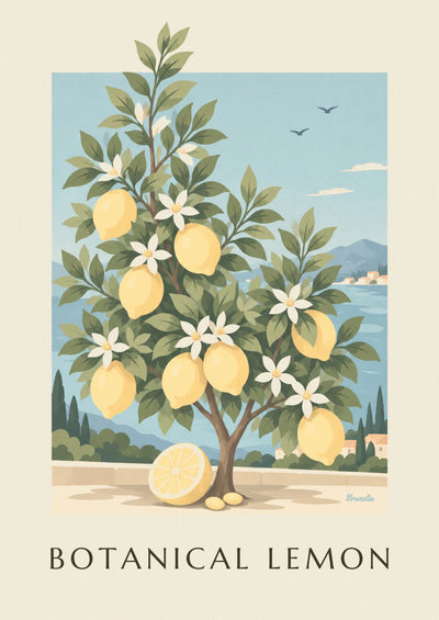 Affiche citronnier Citrus limon en planche botanique : l'affiche entière