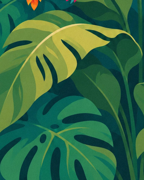 The large soft green and deep green monstera leaves, cut like lace