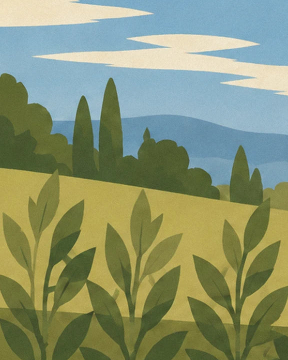 Une colline verte et ses cyprès, sous un ciel bleu aux nuages crème