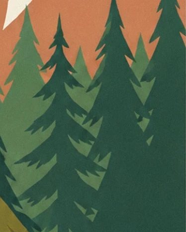 The outlines of dark green and olive green pine trees against an orange background