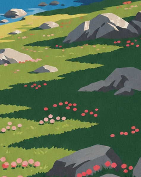 Prairie d'alpage parsemée de rochers gris et de petites fleurs roses et rouges