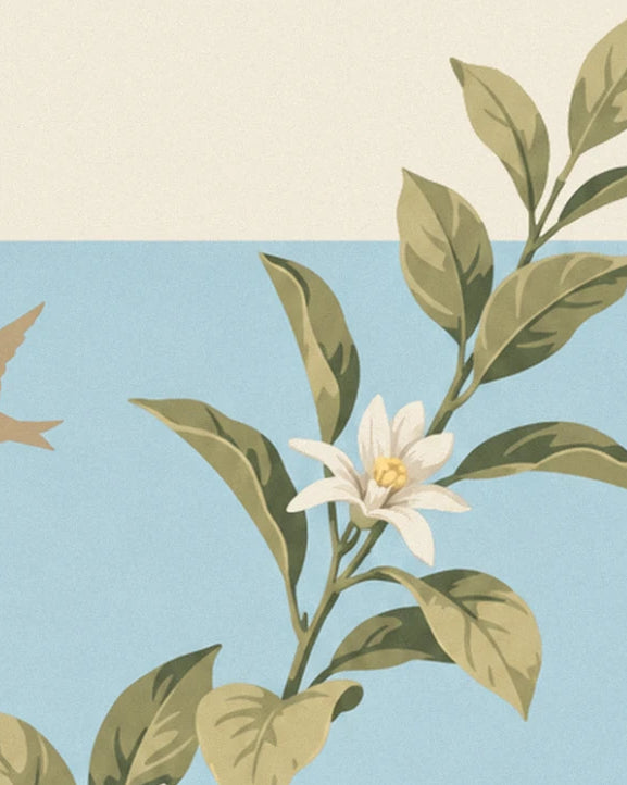 A white lemon blossom with a yellow centre among green leaves against the blue sea