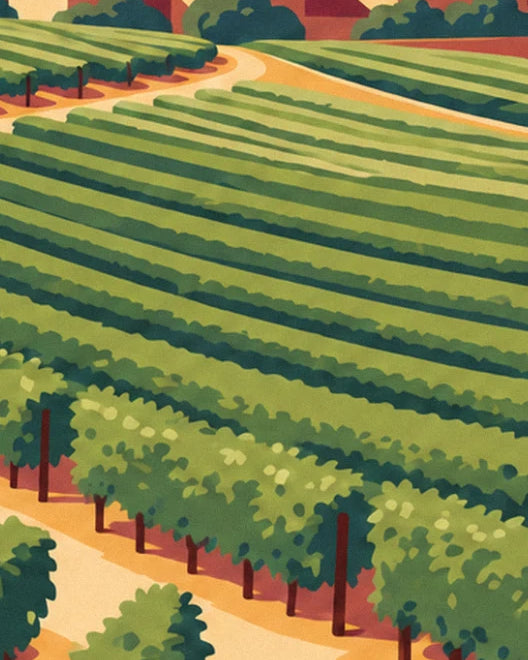 The curving green rows of vines, bordered by a golden path on the hillside