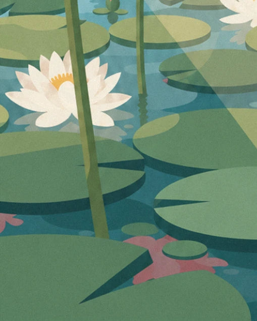 A white lotus with a yellow centre among broad green leaves, on the blue water