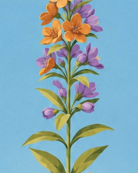 Tige fleurie aux fleurs orange et violettes, sur fond de ciel bleu