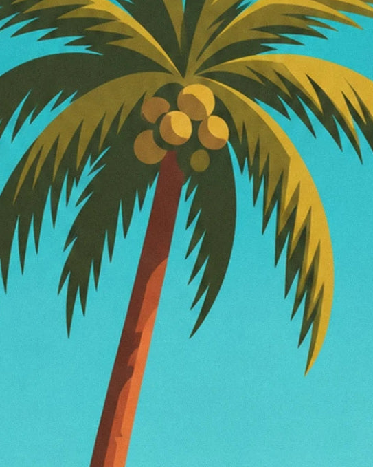 A coconut palm with a leaning trunk, long green fronds and golden coconuts