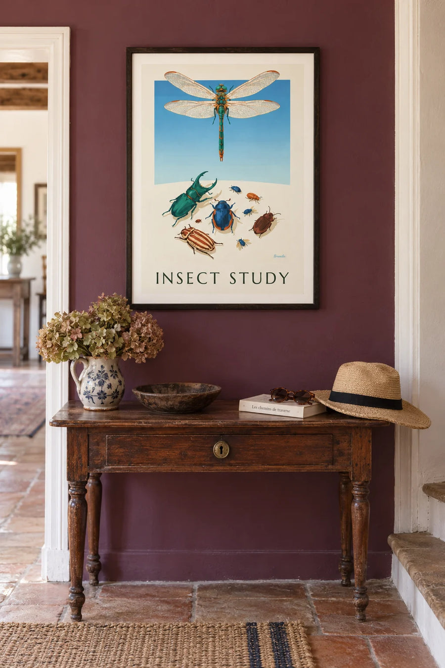 Affiche planche entomologique de scarabées et libellules : encadrée au mur