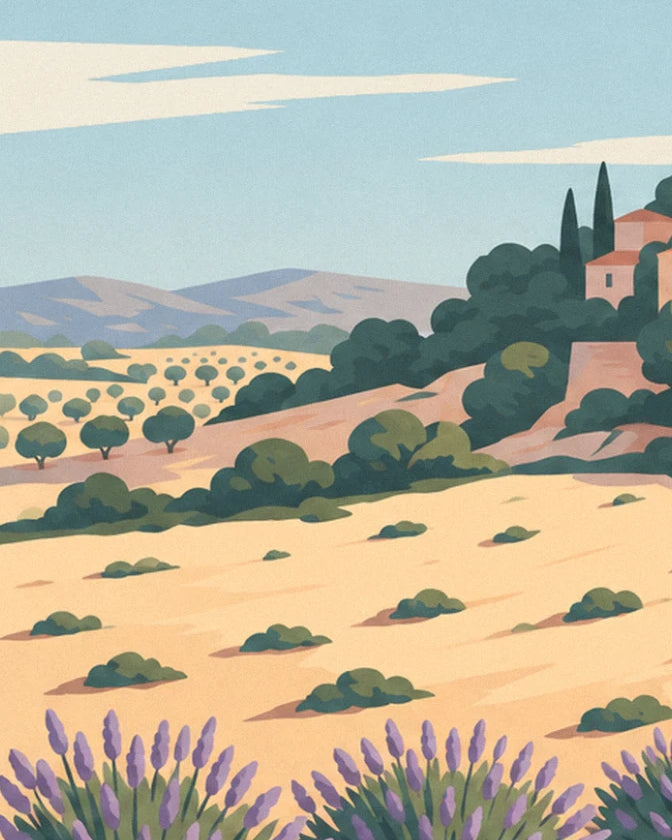 Les oliviers dans les champs dorés, au pied de la colline et des lavandes