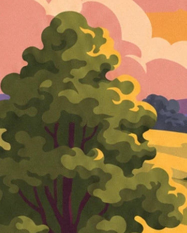 Un arbre au feuillage vert olive devant des champs dorés et un ciel rose et orangé