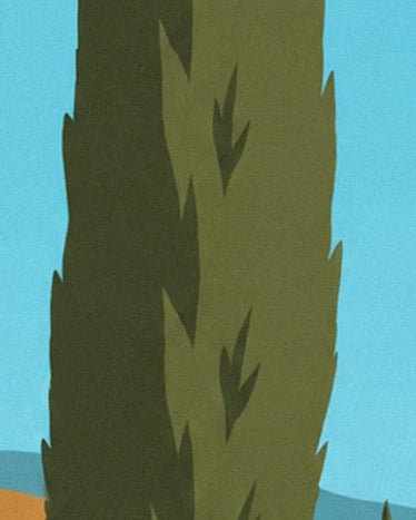 Un cyprès élancé aux feuillages vert olive et sombre sur fond de ciel bleu