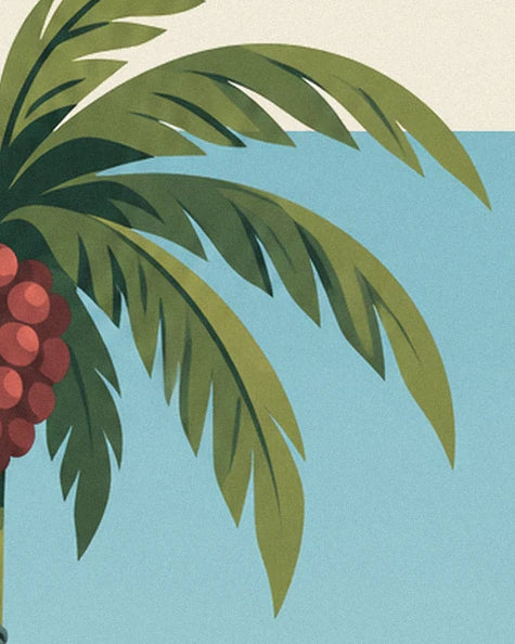 The long green palm fronds and cluster of red fruit against a light blue background