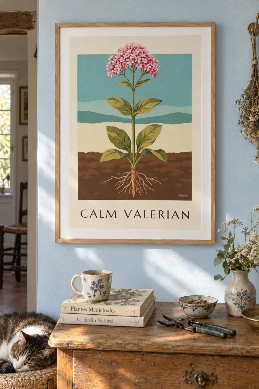 Poster of valerian, the medicinal plant: framed on the wall