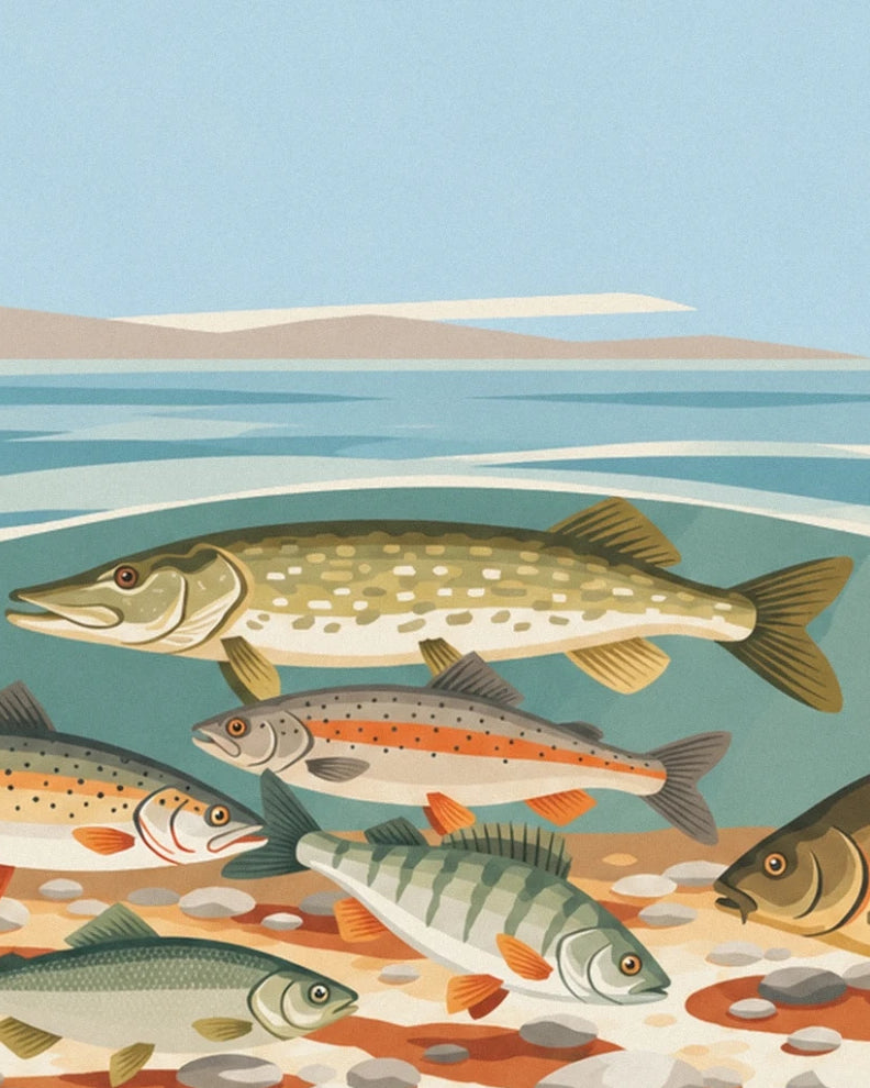Un brochet tacheté parmi les poissons de rivière, au-dessus du fond caillouteux