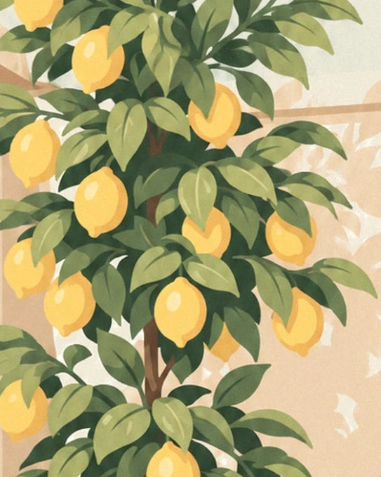 Les citrons jaunes parmi les feuilles vert olive et les branches brunes du citronnier