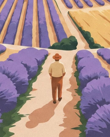 Un promeneur au chapeau brun sur un chemin bordé de lavande violette