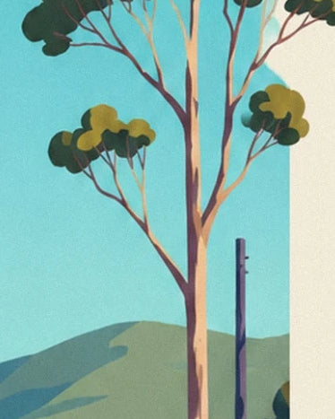Les troncs élancés aux feuillages verts et ocre devant une colline et le ciel turquoise