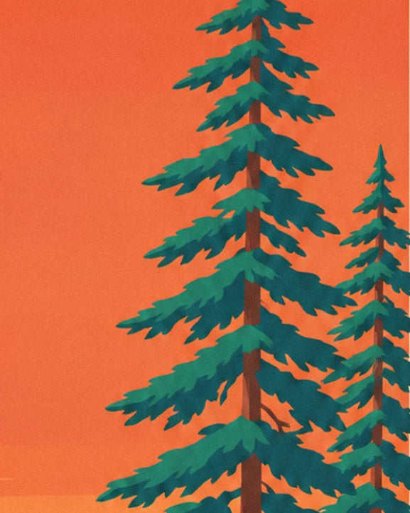 A tall green pine and its neighbour standing out against the orange sky