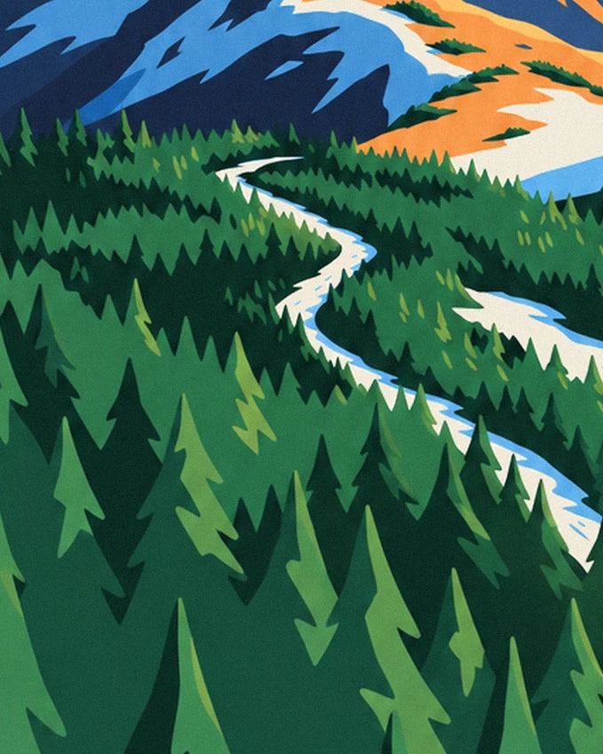 The snowy track winding between the forest's green fir trees