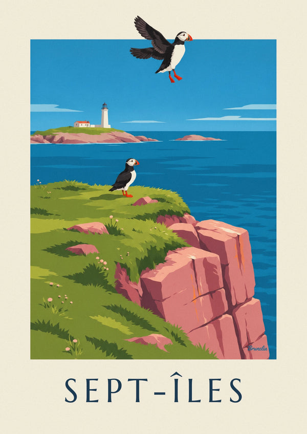 Póster de frailecillo en los acantilados de las Sept-Îles