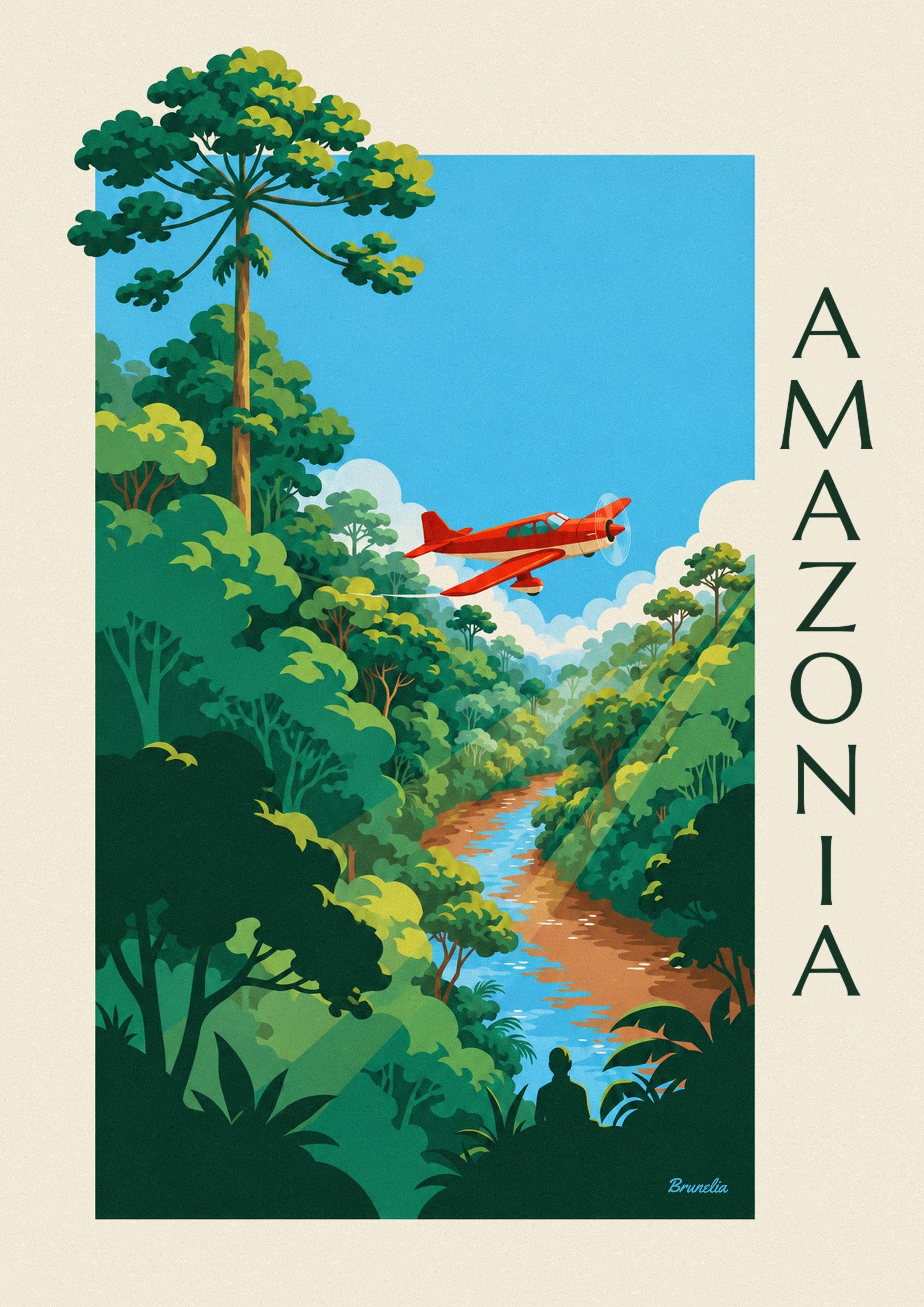 Póster de avión de hélices sobrevolando la selva amazónica: detalle en primer plano