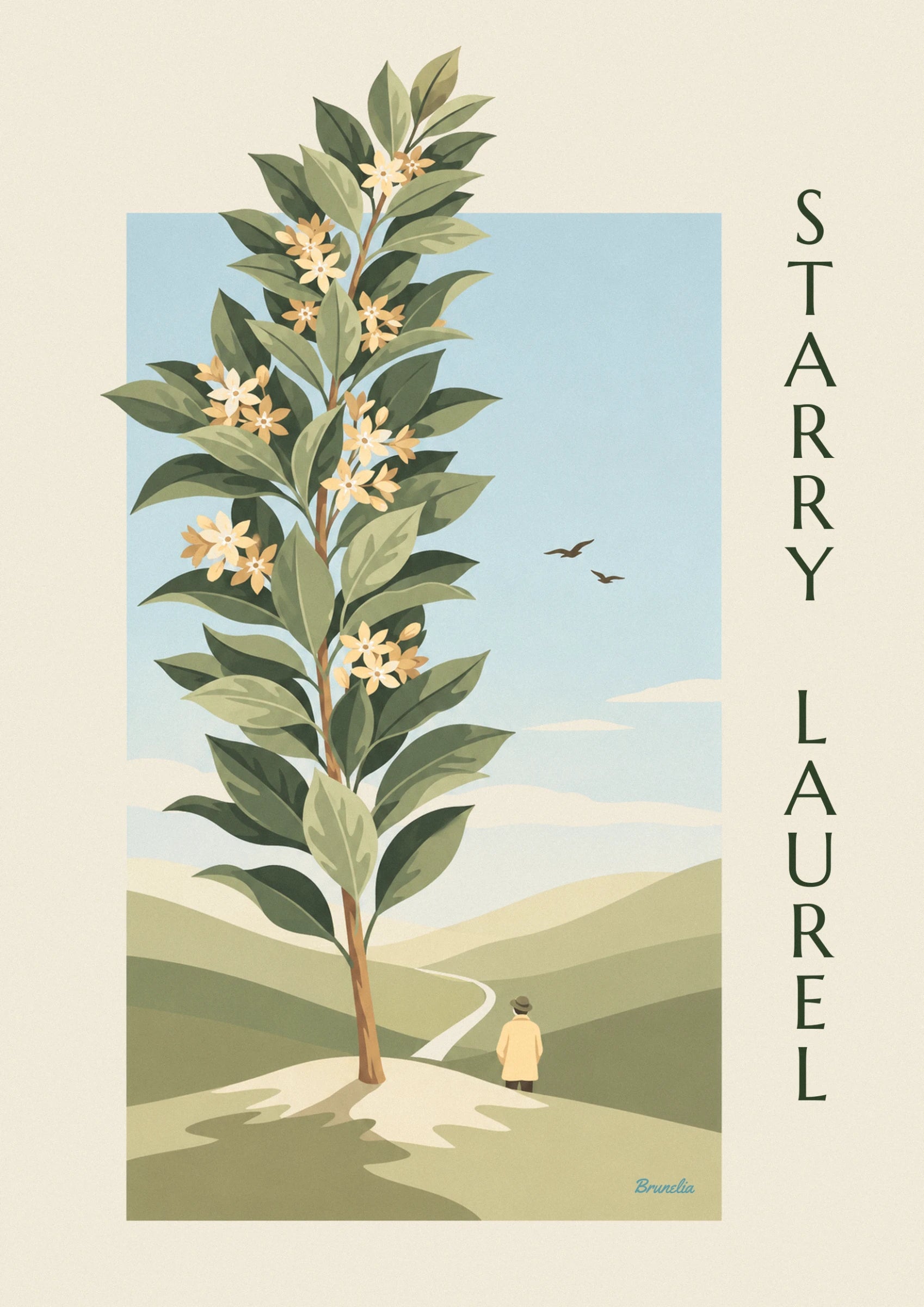 The pale yellow and cream star-shaped flowers on laurel branches, among large green leaves