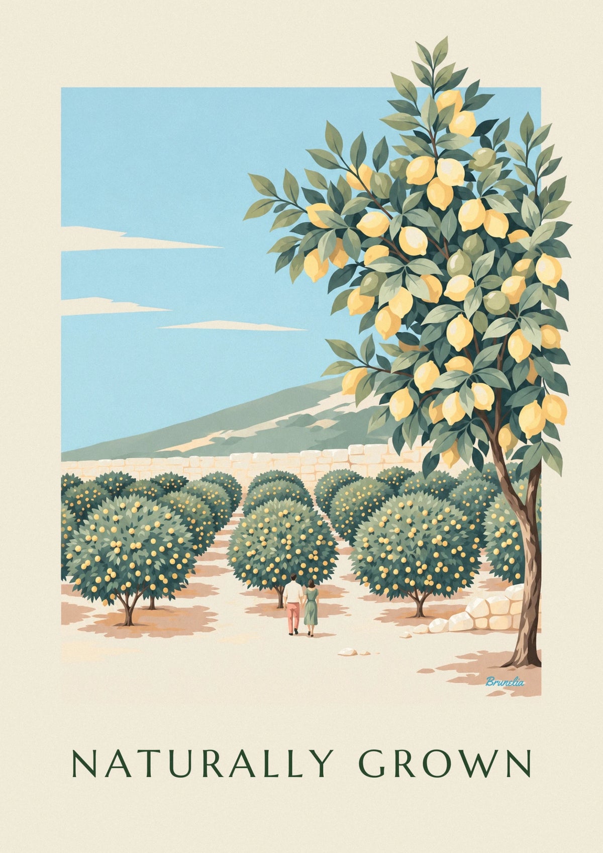 Lemon grove rows at the foot of a sunny hill poster