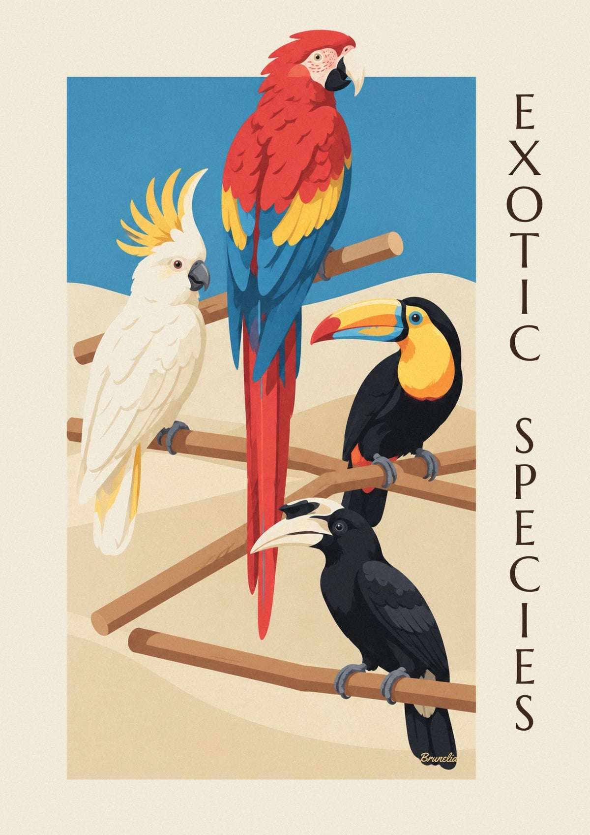 Exotic birds ornithological classification poster
