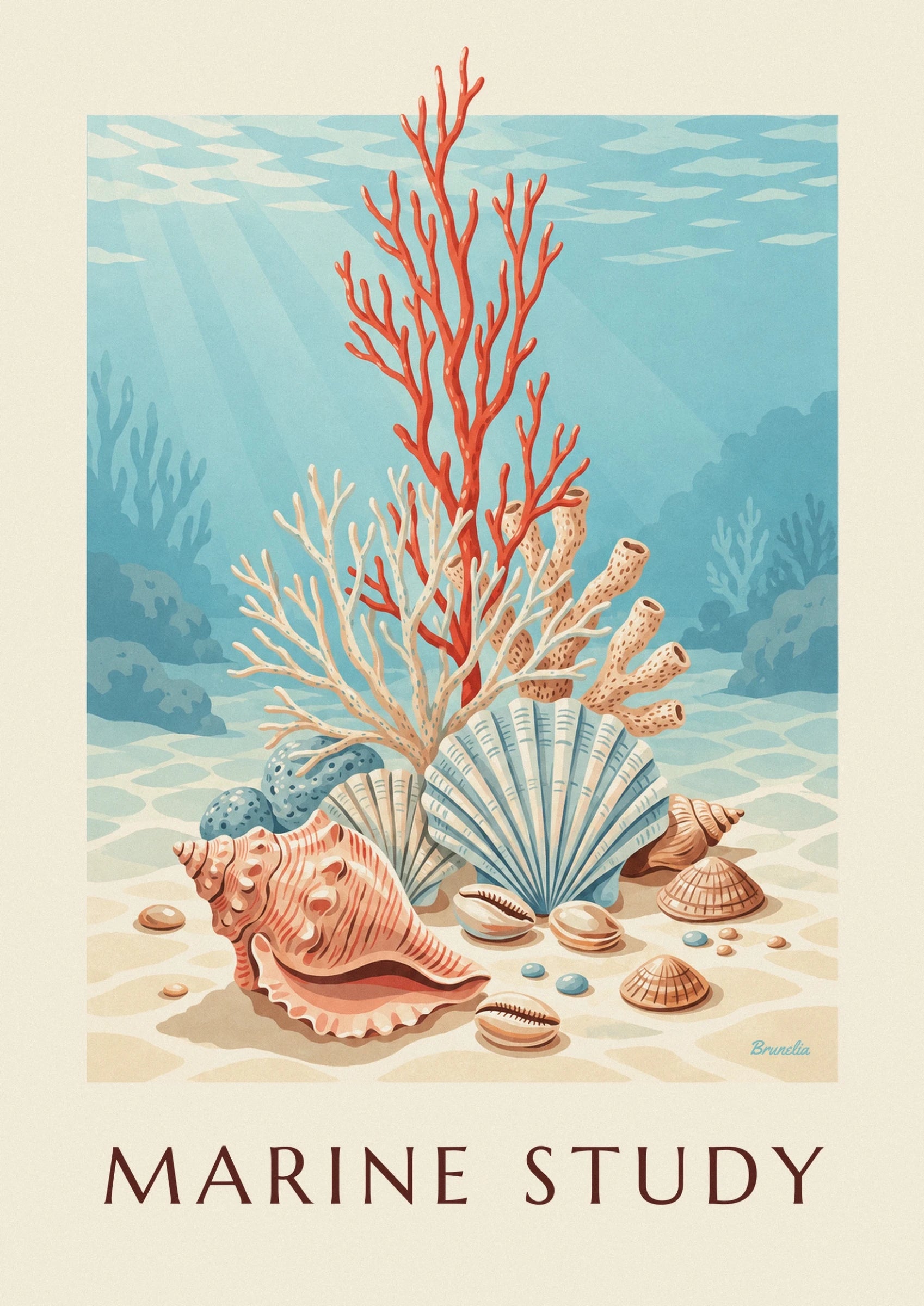 Un coquillage rose orangé aux reliefs striés, devant une coquille en éventail