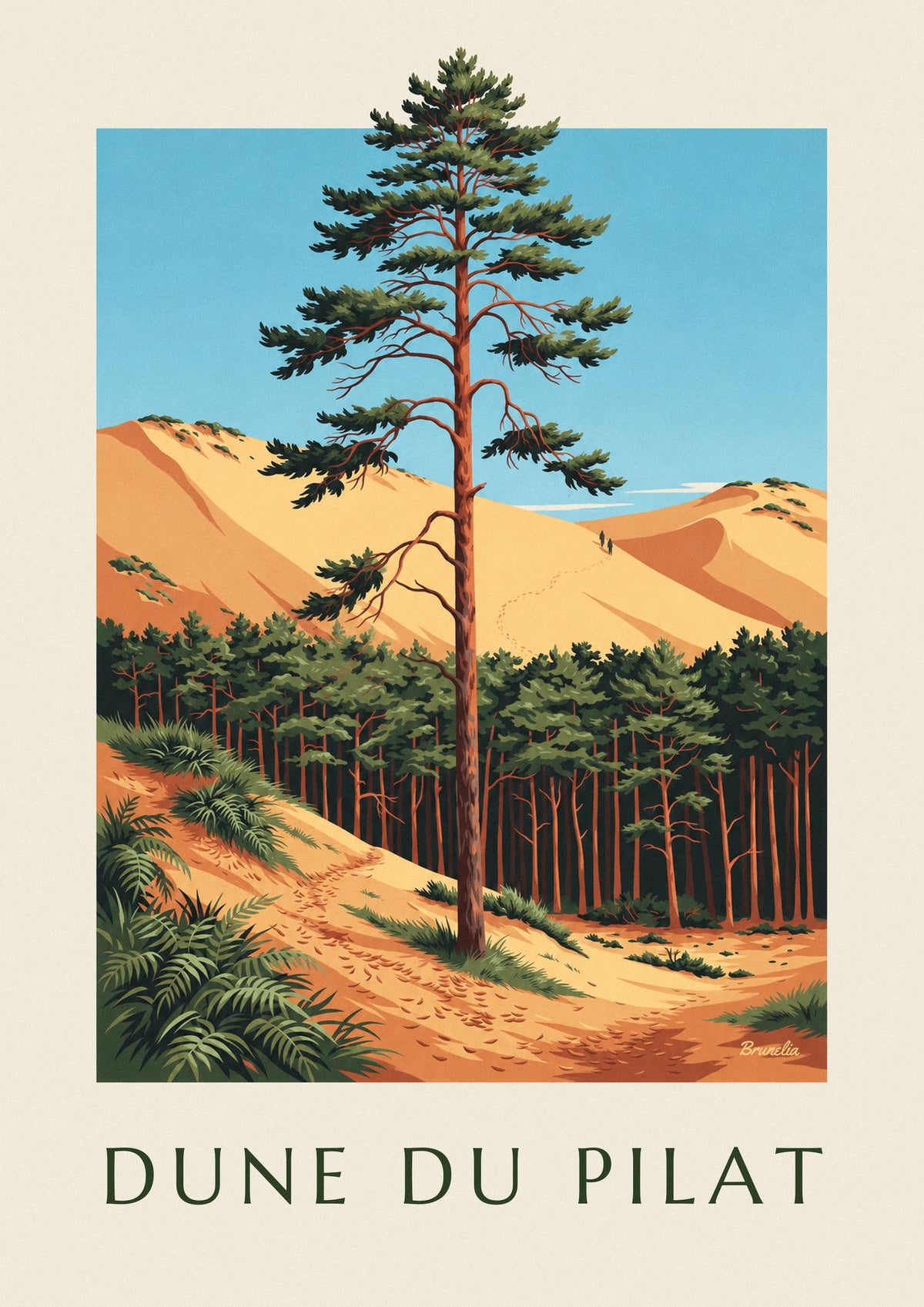 Affiche dune du Pilat, grand pin maritime devant la forêt de pins