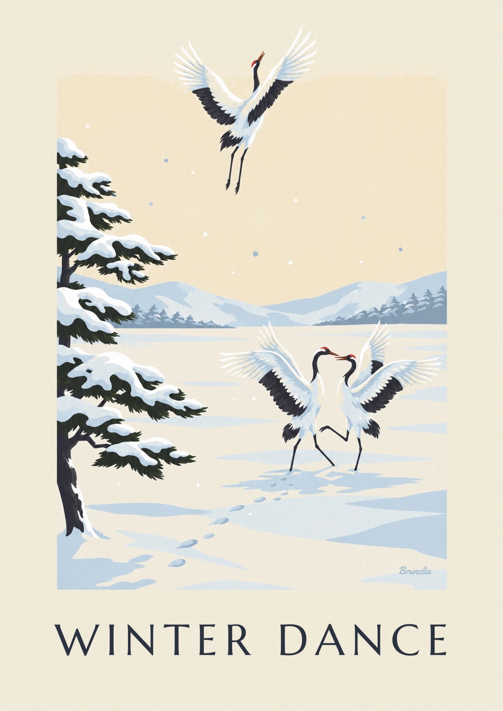The 2 white cranes facing each other, wings spread in the snow