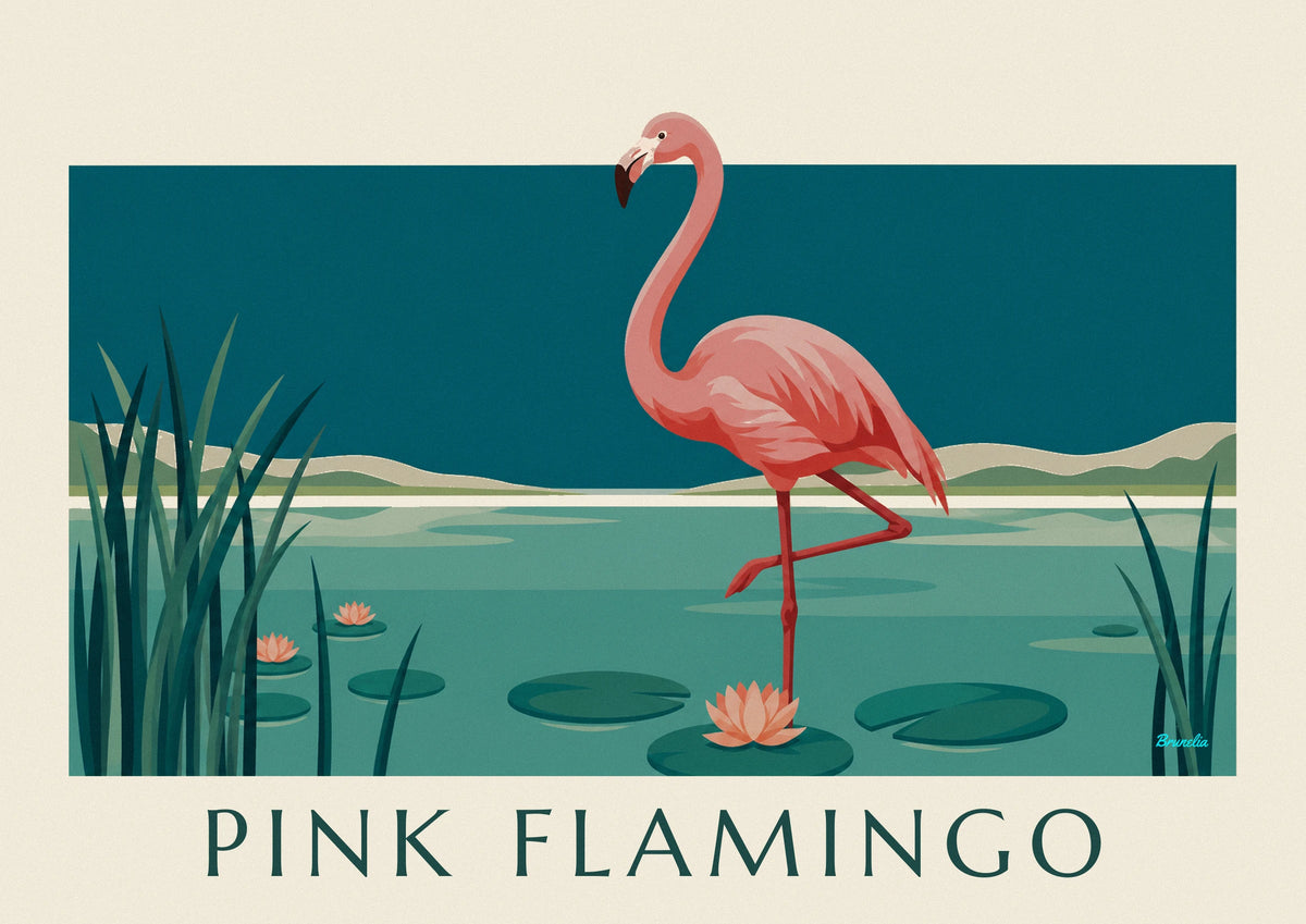 Pink flamingo on one leg among water lilies poster