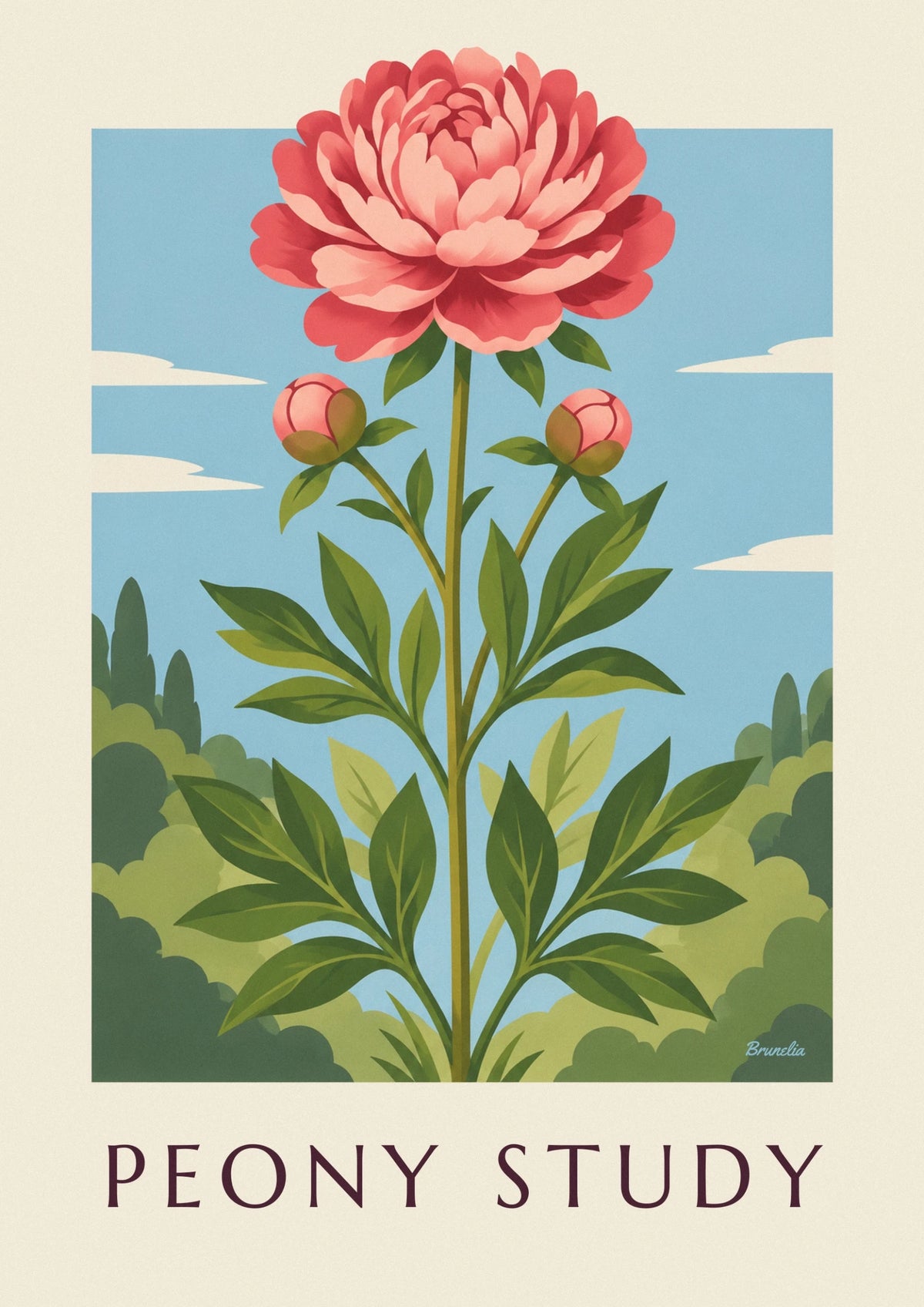Pink peony botanical plate poster