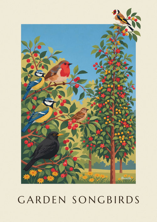 Póster de lámina naturalista de los pájaros cantores del jardín: el póster completo